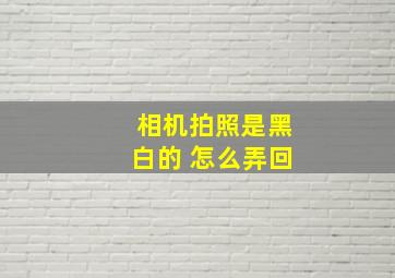 相机拍照是黑白的 怎么弄回